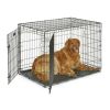 Double Door iCrate Metal Dog Crate, 42"